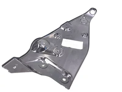 Step cover DAF 1843513 Step cover DAF 1843513