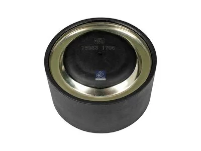 Napinacz DT Spare Parts 20503093 Napinacz DT Spare Parts 20503093