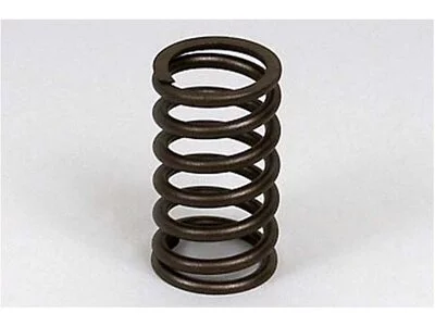 Molla a valvola Swedish Lorry Parts 1543872 Molla a valvola Swedish Lorry Parts 1543872