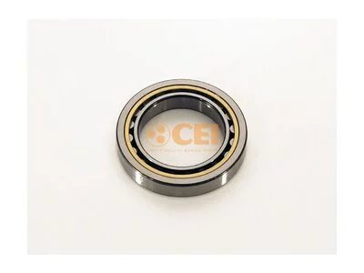 Lager CEI 42118546 Lager CEI 42118546