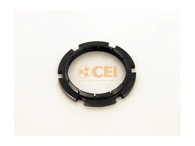 Orzech CEI 81906200097 Orzech CEI 81906200097