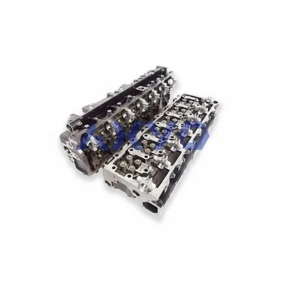 Cylinderhead Monedero 51031009899