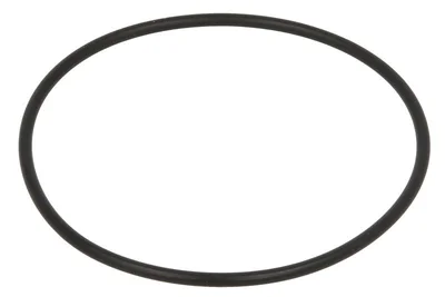 O-Ring ZF 1344760 O-Ring ZF 1344760