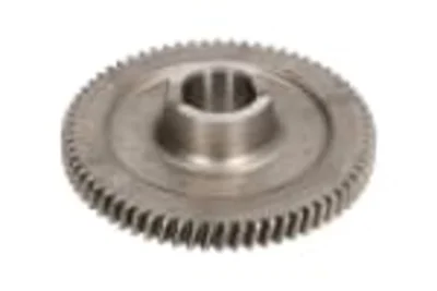 Ingranaggio ZF 0067067 Ingranaggio ZF 0067067