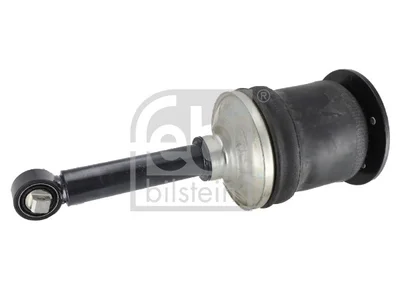 Stoβdämpfer Febi 5010556291