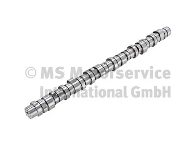Arbore cu came BF Germany 20950809 Arbore cu came BF Germany 20950809