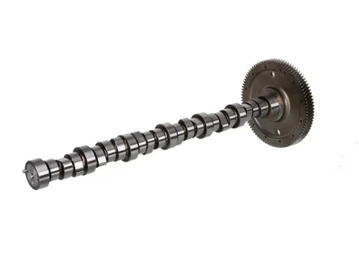 Arbore cu came BF Germany 9060500901 Arbore cu came BF Germany 9060500901