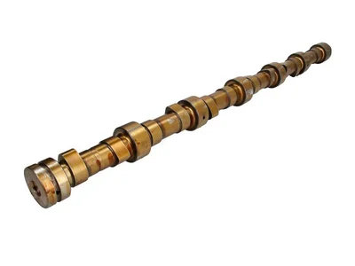 Arbore cu came BF Germany 1783137 Arbore cu came BF Germany 1783137