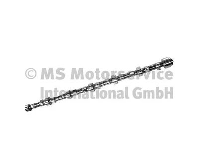 Nockenwelle BF Germany 479450 Nockenwelle BF Germany 479450