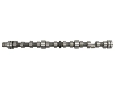 Albero a camme BF Germany 3660500401 Albero a camme BF Germany 3660500401