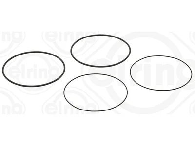 Set de garnituri Elring OM400
