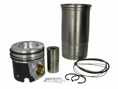 Trusă pentru reparații Kolbenschmidt 5001845663 Trusă pentru reparații Kolbenschmidt 5001845663