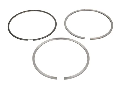Piston ring kit Kolbenschmidt 1960044 Piston ring kit Kolbenschmidt 1960044