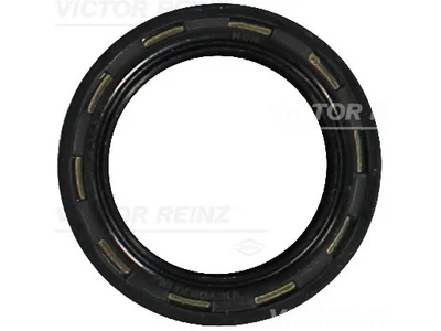 Guarnizione Victor Reinz 0069974346