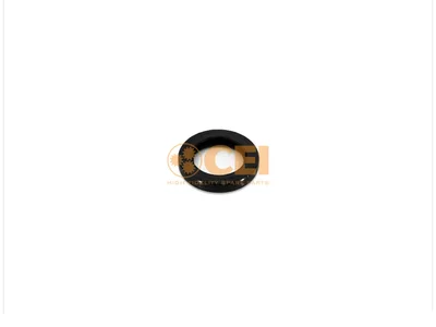 Joint spi CEI 65965010019