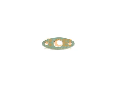 Gasket CEI 0695970