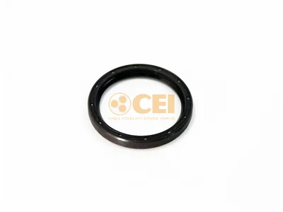 Guarnizione olio CEI 81965030461