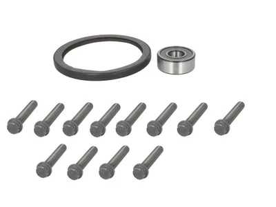 Kit reparație volantă SACHS 29905500