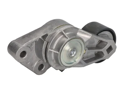 Tensor de correa CZM 20762060