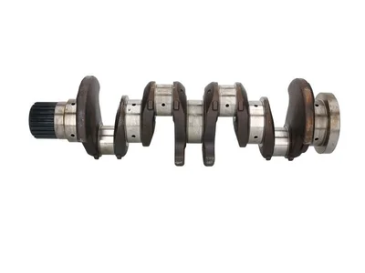 Crankshaft OE Germany 500314784