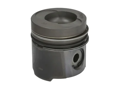 Piston OE Germany 51025010172