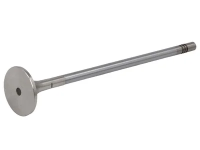 Ventil motora OE Germany 7420564020