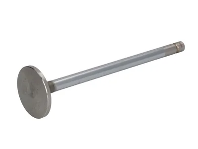 Motorklep OE Germany 1789874