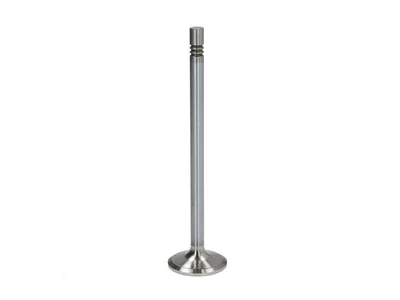 Engine valve OE Germany 51041010545