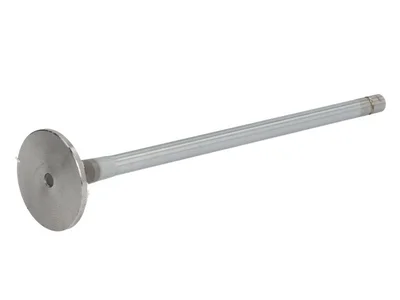 Zawór silnika OE Germany 500355776