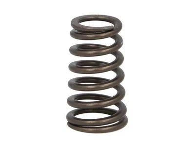 Valve spring OE Germany 6110530020