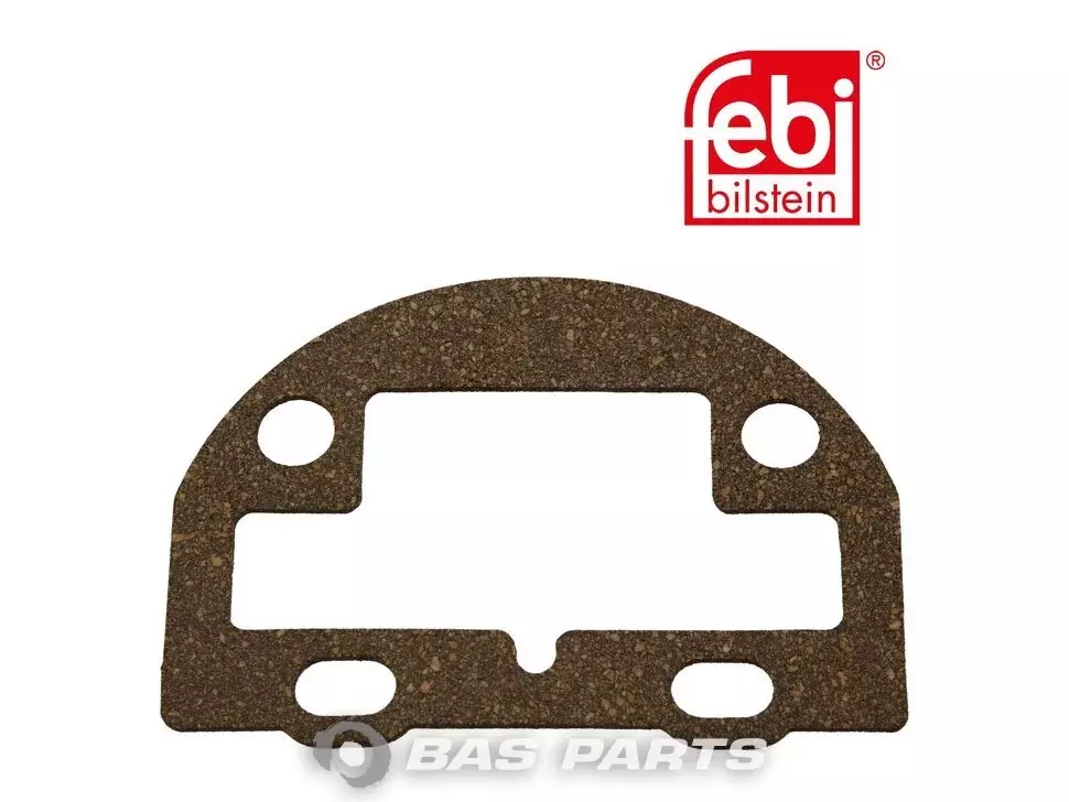 Dichtung Febi 5001868127S1