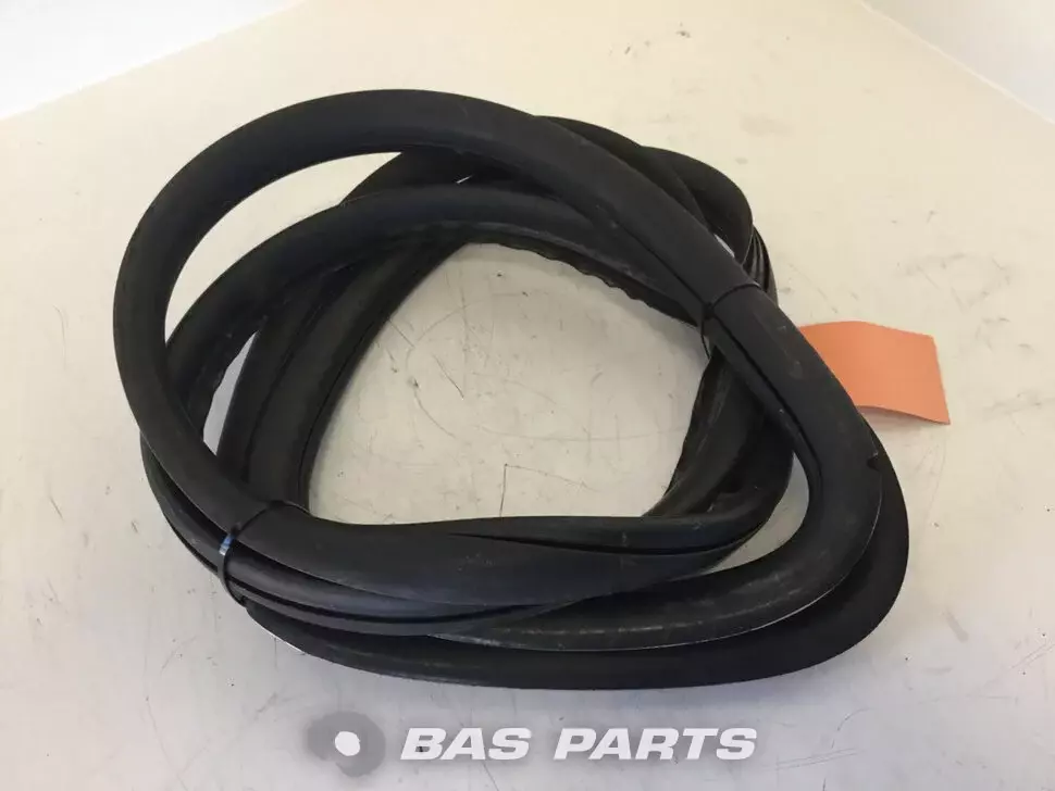 Window rubber Volvo 8191644
