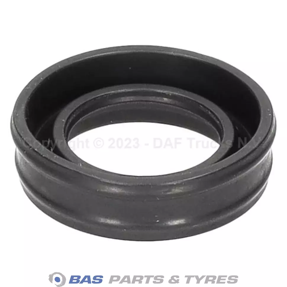 Dichtungsgummi DAF 2134067
