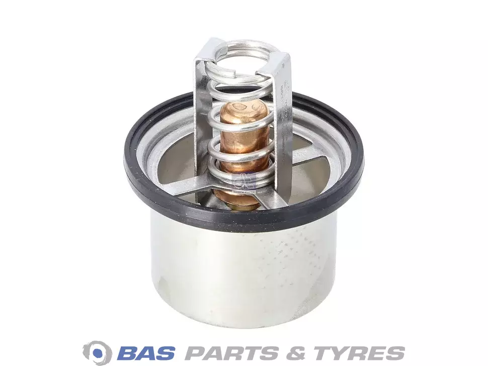 Termostat DT Spare Parts 2307117