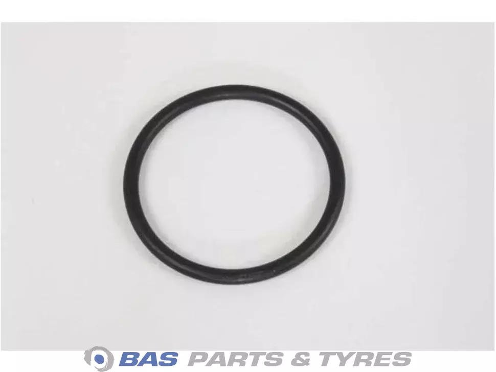 O-Ring 7400975697 7400975697