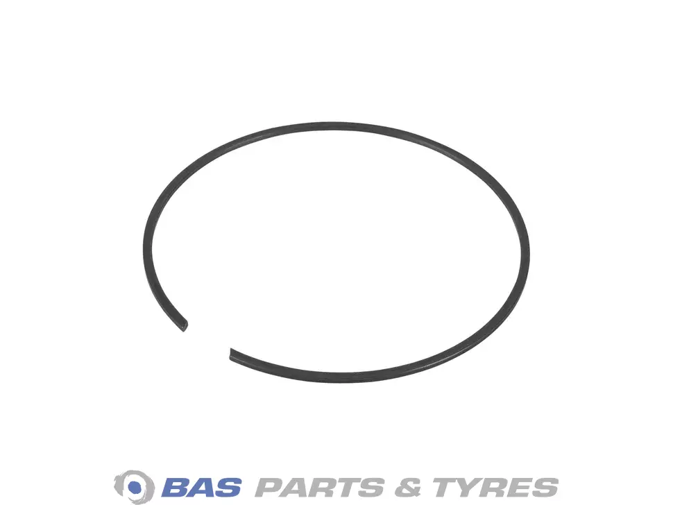 Sicherungsring DAF 0696390