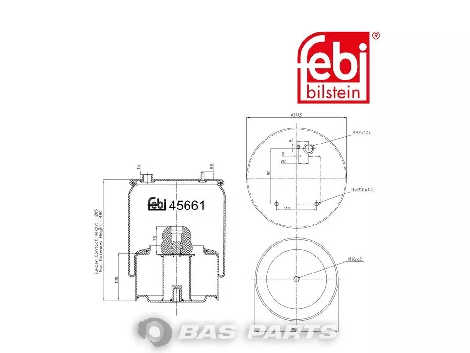Molla daria Febi 1152126