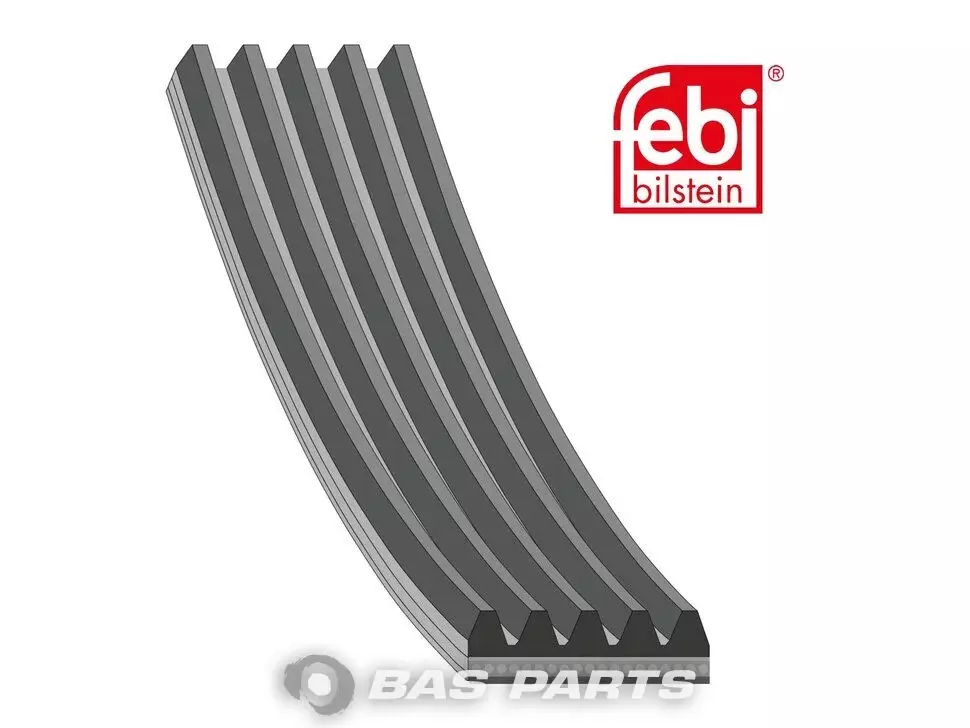 V-Ribbed Belts Febi 50 10 550 411 V-Ribbed Belts Febi 50 10 550 411