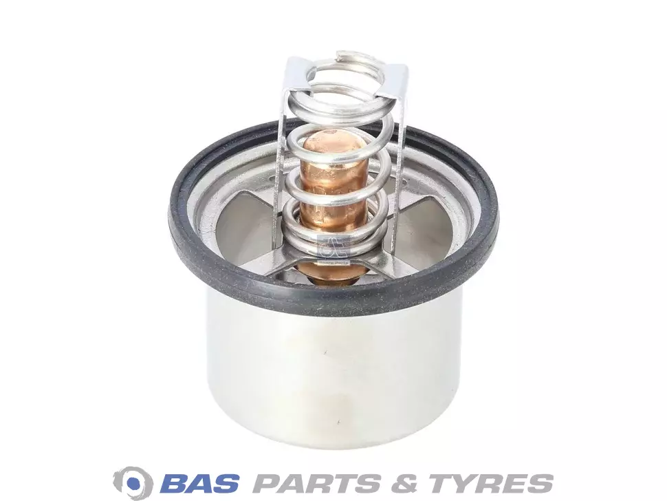 Termostat DT Spare Parts 1661993S
