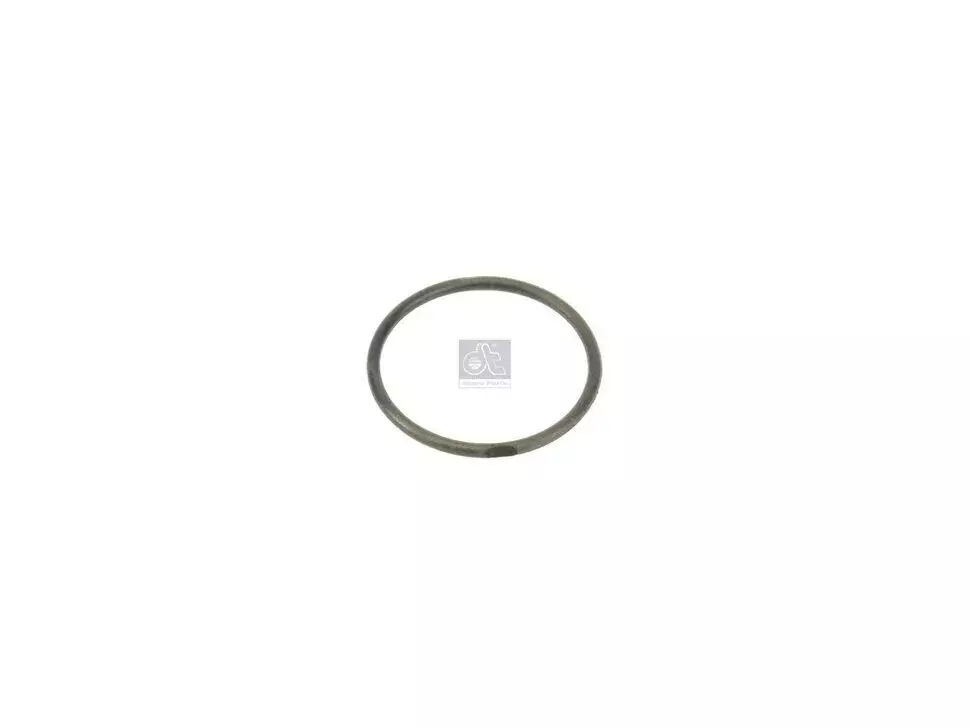 O-Ring DT Spare Parts 810974