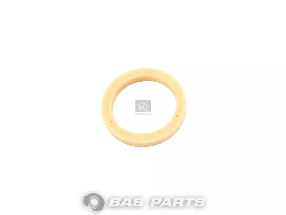Dichtring DT Spare Parts 81966010393