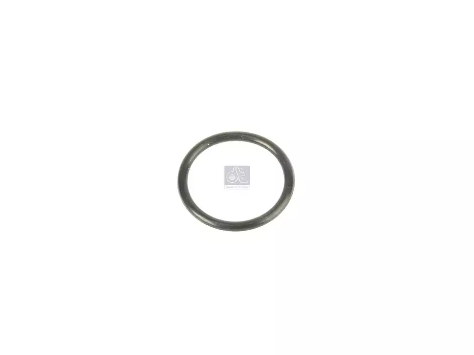 O-Ring DT Spare Parts 81965020044