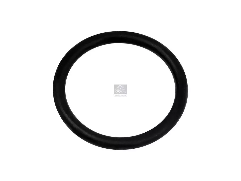 O-Ring DT Spare Parts 06563313258