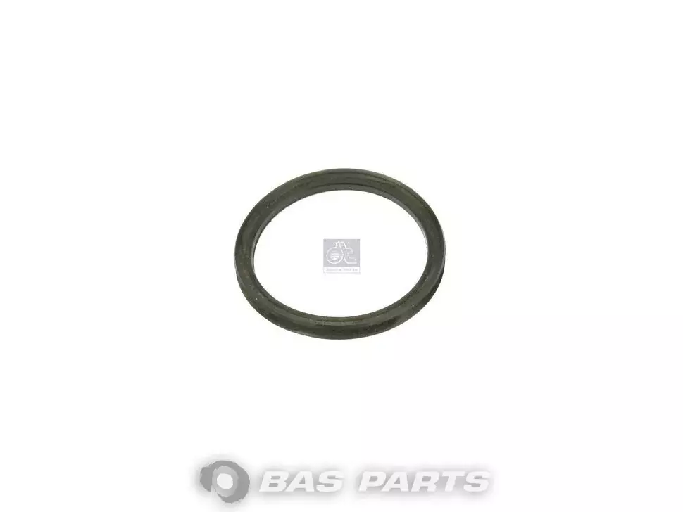 Dichtring DT Spare Parts 0029973040