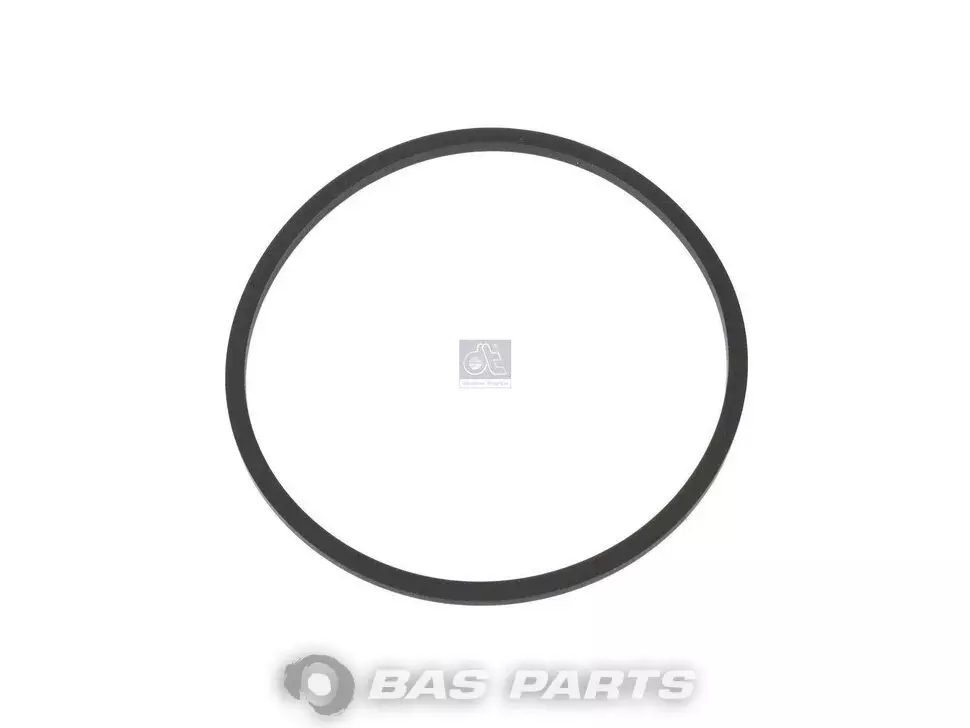 Dichtring DT Spare Parts 0003008018