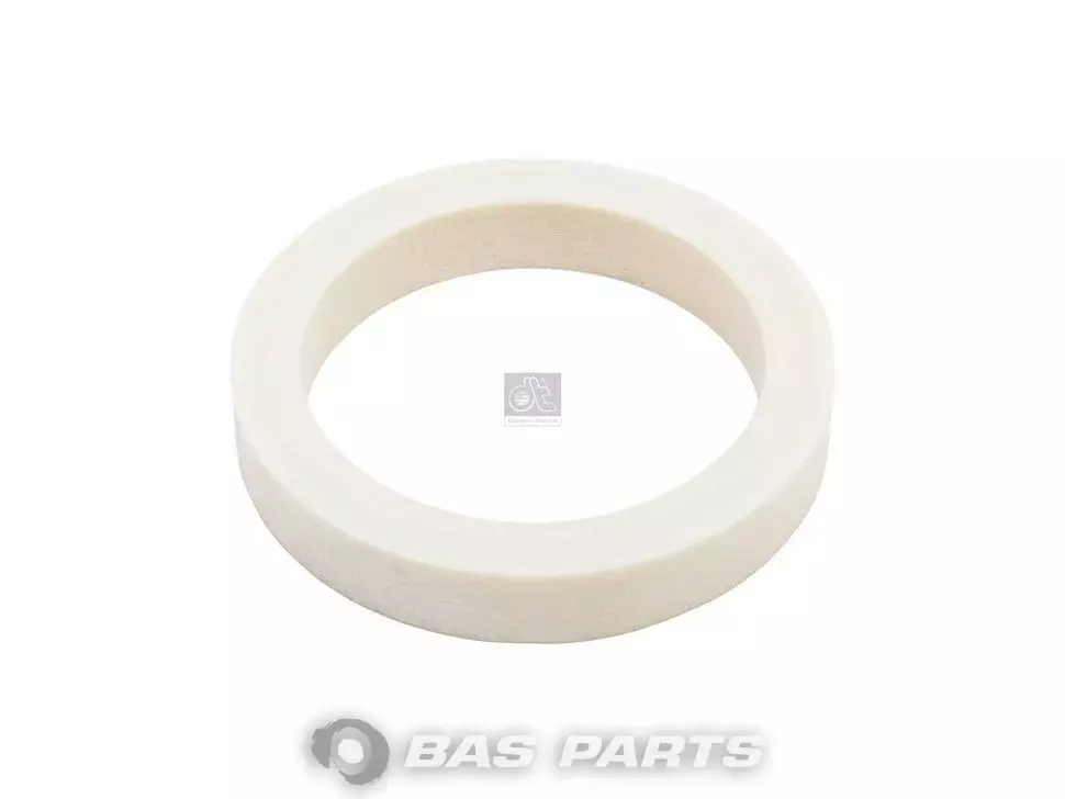 Dichtring DT Spare Parts 4863320059