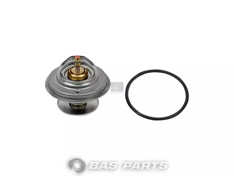 Termostat DT Spare Parts 273480