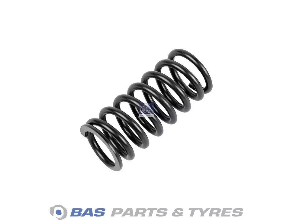 Valve spring DT Spare Parts 5410530020