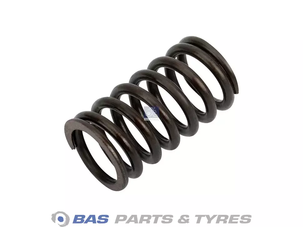 Valve spring DT Spare Parts 9060530120
