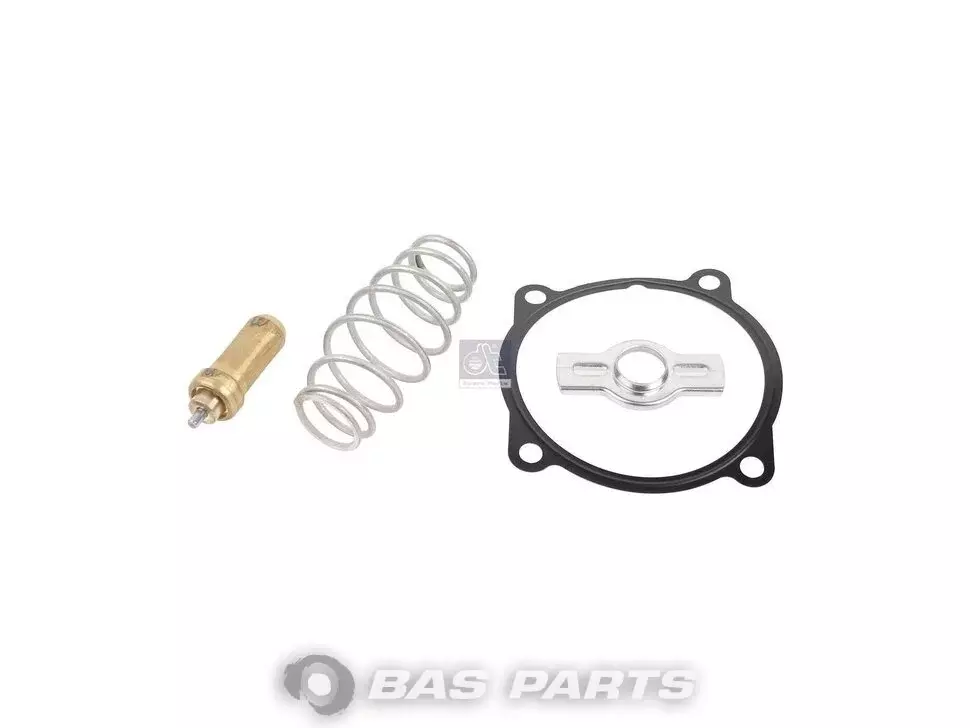 Ремонтный комплект DT Spare Parts 504071087